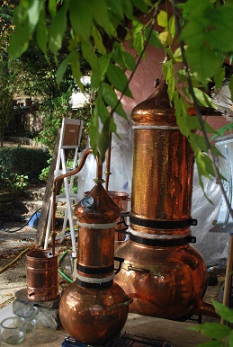 La distillation par entrainement à la vapeur d'eau